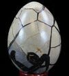 Septarian Dragon Egg Geode - Black Calcite Crystals #33988-2